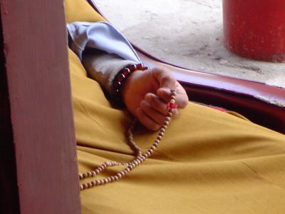20070228102801-lama.jpg