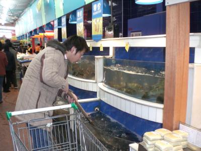 20070322100146-comprando-pescado-fresco.jpg